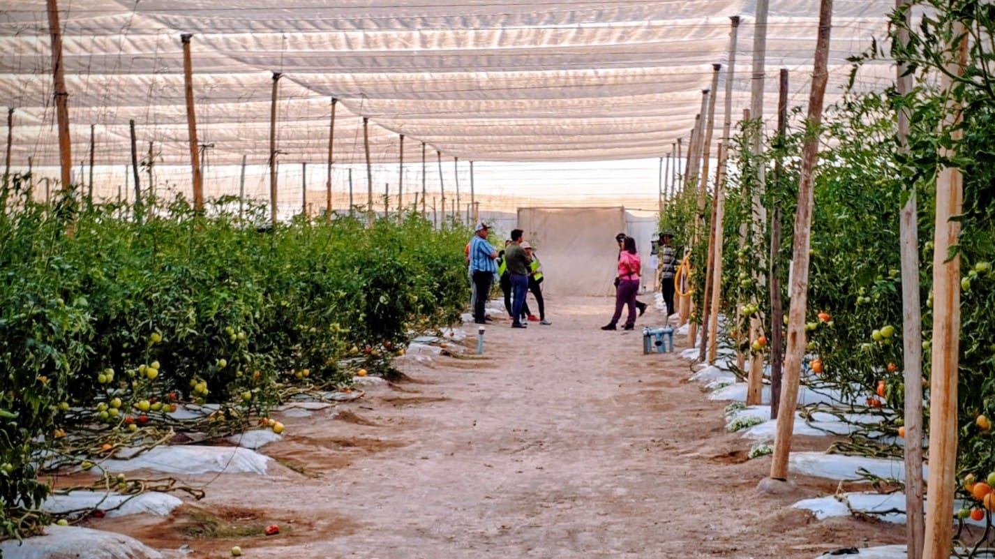 Programa Inversión Mosca.jpeg